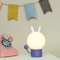 Miniatyrbild 4 av 4: 2-pack Popsicle Katt Leklera Leksak Klämset Kawaii Långsam Resning