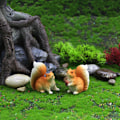 Miniatyrbillede 3 af 6: 2 stk. resin håndværkstilbehør blomsterpotte landskabsdekorationer mikro landskabsornamenter sød simulations egern