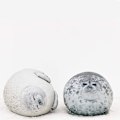 Miniatyrbillede 2 af 5: Chubby Blob Sæl Pude, Sødt Ocean Plys Bomuldsfyldt Dyr Legetøj Lille (11.8\")