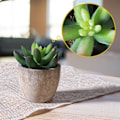 Miniatyrbillede 2 af 6: 3 stk. Kunstige sukkulenter/Kunstig kaktus/Simulerede kaktus potteplanter Hjem Bonsai Dekoration Have Grønt