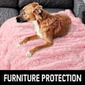 Miniatyrbillede 2 af 6: Luksuriøst, blødt hundetæppe, ekstra bløde og varme Sherpa fleece kæledyrstæpper til hunde og katte, plysset, lodden imiteret pels hvalpetæppe