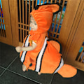 Miniatyrbild 5 av 5: Barns Halloween-dräkt undervattens allmän mobilisering Samma clownfiskväska Nemo fishtailväst tecknade prestationskläder (lämplig för hei