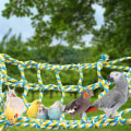 Miniatyrbild 3 av 7: Studsboll - Halv Bouncing Ball - Halv Studsboll - Halv