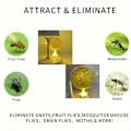 Miniatyrbillede 3 af 3: Frugtflue Bolde Flue Bold Fælde Klæbrig insektbold hveps Myggebold Fælde Insektfælde oplyst version 1 pack