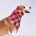2-pack Hundhalsdukar Lugnande Huvor Dregelhaklappar Jul