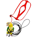 Miniatyrbild 4 av 5: Papegoja Flygrep Anti Bite Flygrep Dragrep Tigerskinn Xuanfeng Fågel Gårrep Ut Träningsrep Fågeltillbehör-red-S