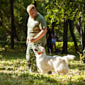 Miniatyrbillede 5 af 6: Hundetræningsfløjte til hundekald, gøkontrol - Komplet kæledyrstræningssæt - Hjælper hunde med at justere dårlige vaner (2 fløjter)