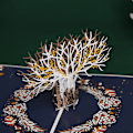 Miniatyrbilde 2 av 5: 3D Julekort, pop-up julekort, tredimensjonale brettede gratulasjonskort (Juleelg)
