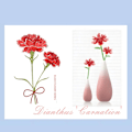 Miniatyrbild 2 av 5: Flower Building Block Kit, Creative DIY Flowers Botanical Collection Byggstensleksak för vuxna Jul Alla hjärtans heminredningskontor Carnation