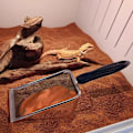 Miniatyrbild 5 av 6: Reptilsandsubstrat i rostfritt stål Skopa Spade Sifter Mesh metall Reptilsandrengöringsmedel Scooper för sandsängar