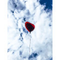 Miniatyrbillede 7 af 7: 50 stk. Bryllupsfest 18 tommer Rød Kærlighed Aluminium Membran Ballon Valentinsdag Ægteskabsforslag Præsentation Festdekoration