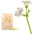 Miniatyrbild 1 av 5: Flower Building Block Kit, Creative DIY Flowers Botanical Collection Byggstensleksak för vuxna Jul Alla hjärtans heminredningskontor Jasmine Flower
