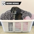 Miniatyrbillede 6 af 6: Luksuriøst, blødt hundetæppe, ekstra bløde og varme Sherpa fleece kæledyrstæpper til hunde og katte, plysset, lodden imiteret pels hvalpetæppe
