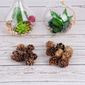 Miniatyrbilde 5 av 5: 10 stk. julepynt naturlige kongler juletrepynt kongleoppheng