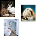 Miniatyrbilde 3 av 5: Hamsterstein, Hvit Tannrensende Mineralstein, Tygg leketøy for Hamster Kanin Små Gnagere Chinchilla Marsvin Papegøye - Plommeform