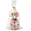 Miniatyrbillede 2 af 2: 8 stk. 201 rustfrit stål frugtgaffel, frugt tandstød (pink)