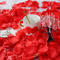 Miniatyrbilde 4 av 6: Simulerte kronblader 2000 stk Simulerte roseblader Håndspredte blomster Bryllupsrom Falske kronblader Bryllup