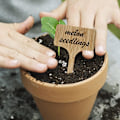 Miniatyrbild 4 av 6: 30 st Bambu växtetiketter, växtetiketter, T-typ växtskylt, trädgårdsmarkörer för frö, örter, blommor, grönsaker i krukor (bambu)