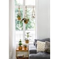 Miniatyrbild 3 av 6: 2 st Växthängare Inomhus planteringskorg Hängande korg Blomkrukhållare Jute rep med pärlor utan tofsar, 89cm