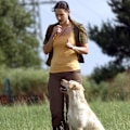 Miniatyrbillede 4 af 6: Hundetræningsfløjte til hundekald, gøkontrol - Komplet kæledyrstræningssæt - Hjælper hunde med at justere dårlige vaner (2 fløjter)