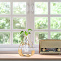 Miniatyrbild 2 av 5: Glasvas Ins Nordic Style Hydroponic Geometrisk Form Ornament