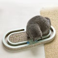 Miniatyrbild 3 av 5: Folding Cat Scratch Board-polymerer med boll, Home Scratcher