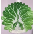 Miniatyrbild 2 av 9: Baby Kål Burrito Baby Wrap kex 1 Chinese cabbage