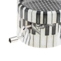 Miniatyrbild 4 av 5: Notlinjesystem