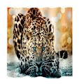Miniatyrbild 1 av 3: Leopard Extra Långt Duschdraperi för Badrum med 12 Krokar