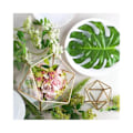 Miniatyrbild 3 av 5: 2 st Geometriskt Terrarium i Glas Suckulent Planteringskärl Blomvas Behållare Kann