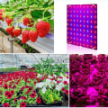 Miniatyrbild 2 av 5: LED Växtlampor Röd Blå Panel Växtlampor För Växter 169 LEDs