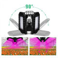 Miniatyrbild 5 av 5: LED Växtlampor Inomhus Fullspektrum LED Växtpanel För Mikrogrönsaker 108 LED
