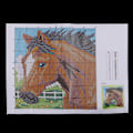 Miniatyrbild 4 av 5: Latch Hook-kit för DIY Kuddfodral Soffkuddfodral 43x43cm Häst