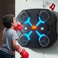 [RM] Music Boxing Trainer Electronic Boxing Training Wall Target