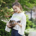 Miniatyrbild 3 av 5: Ukulele gitarr