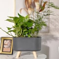 Miniatyrbild 3 av 5: Självbevattnande Planteringskärl Örtväxter Kruka Planteringskärl Blomkruka Svart Med Ben