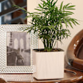 Miniatyrbild 5 av 5: Självvattnande Plastblomkruka med Vattennivåindikator Vit L