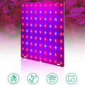 Miniatyrbild 4 av 5: LED Växtlampor Röd Blå Panel Växtlampor För Växter 169 LEDs