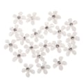 Miniatyrbild 5 av 5: 20 Blommor Flatback Knapp Strassdekorationer för Bröllop Vit
