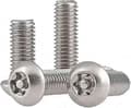 [RM]304 Rostfria Stöldskydd Torx Säkerhetsskruvar M5x30mm (10st)