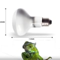 Miniatyrbild 5 av 5: Reptilstråle Dagsljus Glödlampa Belysning Värmelampa Solbad 25w Solljus