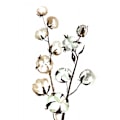 Miniatyrbillede 1 af 2: Akvarel Bomuldsgren Ii MultiColor 50x70 cm