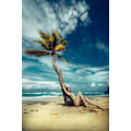 Miniatyrbild 1 av 2: All I Need Is A Palm Tree And A Cool Breeze MultiColor 30x40 cm