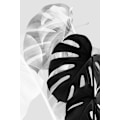 Pikkukuva 1 / 2: Monstera Black And White MultiColor 30x40 cm