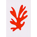 Miniatyrbild 1 av 2: Abstract Red Algae MultiColor 50x70 cm