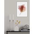 Miniatyrbillede 2 af 2: Bougainvillea Study No4 MultiColor 50x70 cm