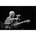 Pikkukuva 2 / 2: Bb King MultiColor 30x40 cm