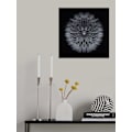 Miniatyrbild 2 av 2: Salsify MultiColor 30x40 cm
