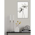 Miniatyrbild 2 av 2: Transparent Botanic No 6 MultiColor 70x100 cm