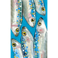 Miniatyrbilde 2 av 2: Fisk MultiColor 70x100 cm